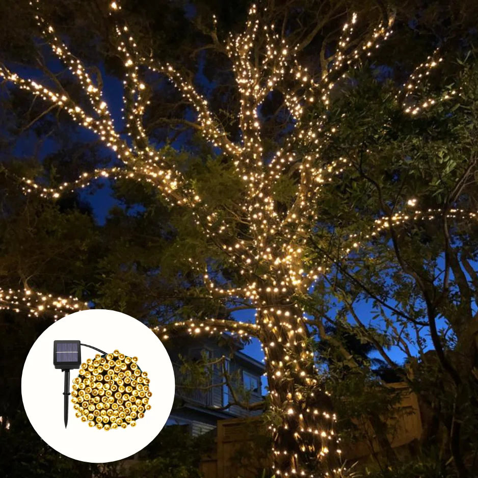 Garden Entertainment Bundle