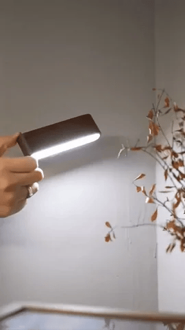 Rotatable Wall Light