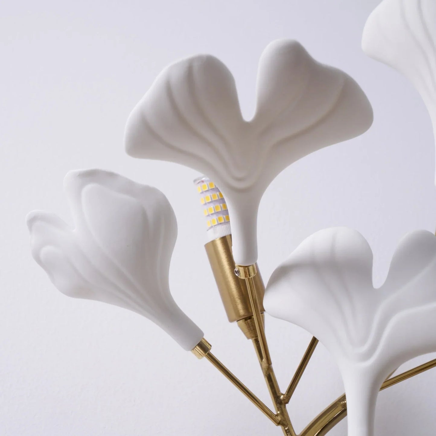 Caelia Ceramic Wall Lamp