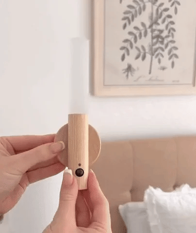 Modern Torch Motion Light