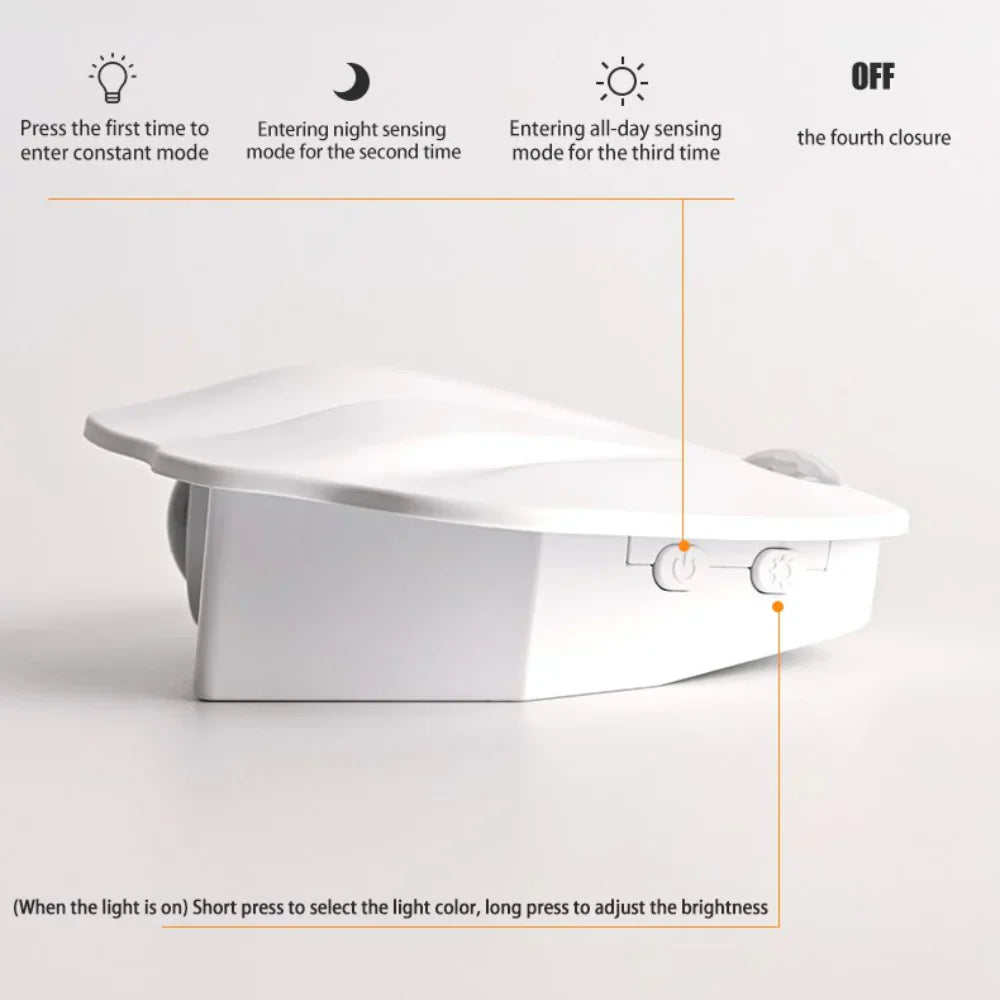 Shell Motion Light
